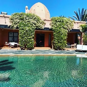 K Marrakesh